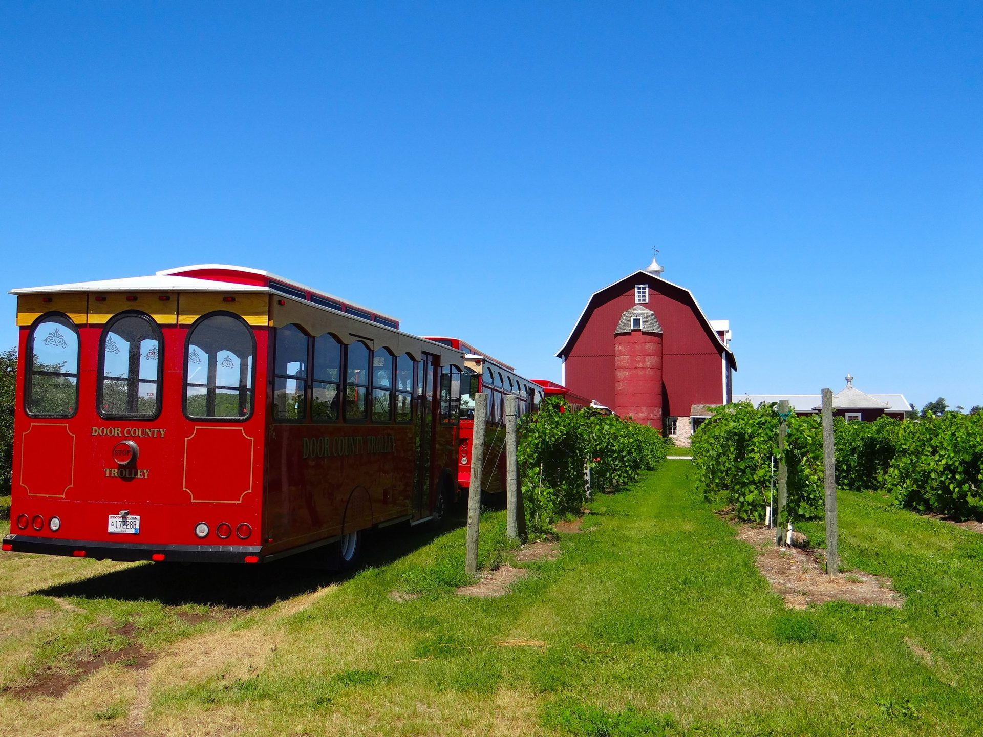 Lautenbach’s Orchard Country (Shop & Cherry Picking) (4 of 6)