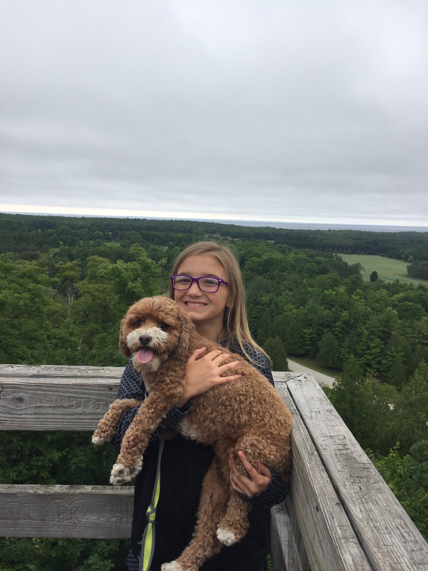 Mountain Park Lookout Tower (3 of 5)