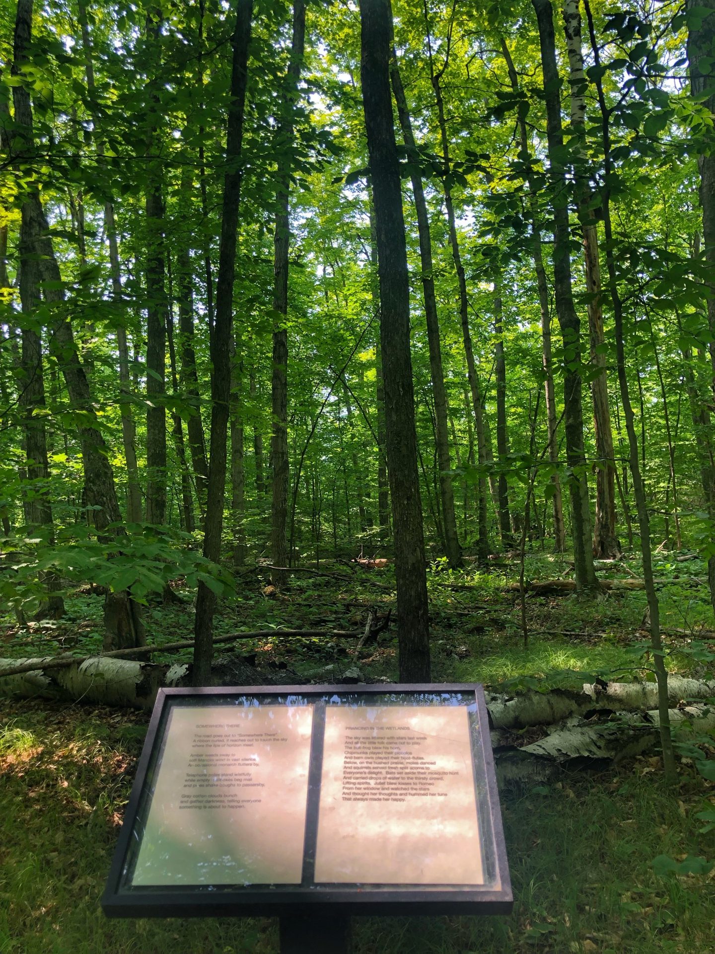 Newport State Park (5 of 6)