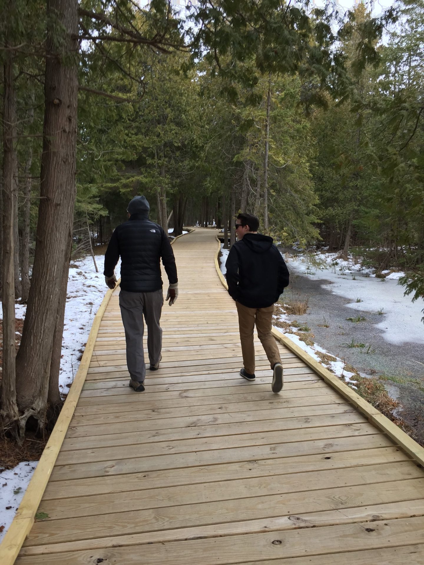 The Ridges Sanctuary (2 of 5)