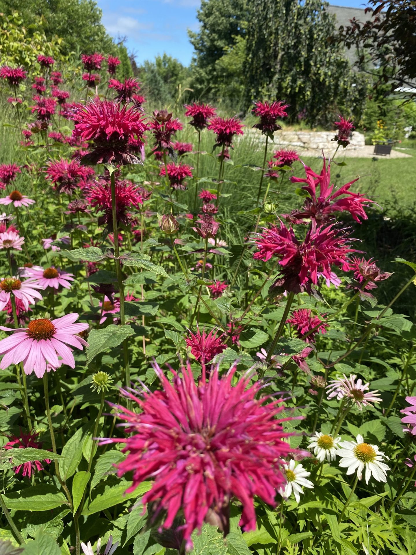 The Secret Garden of Door County (1 of 6)