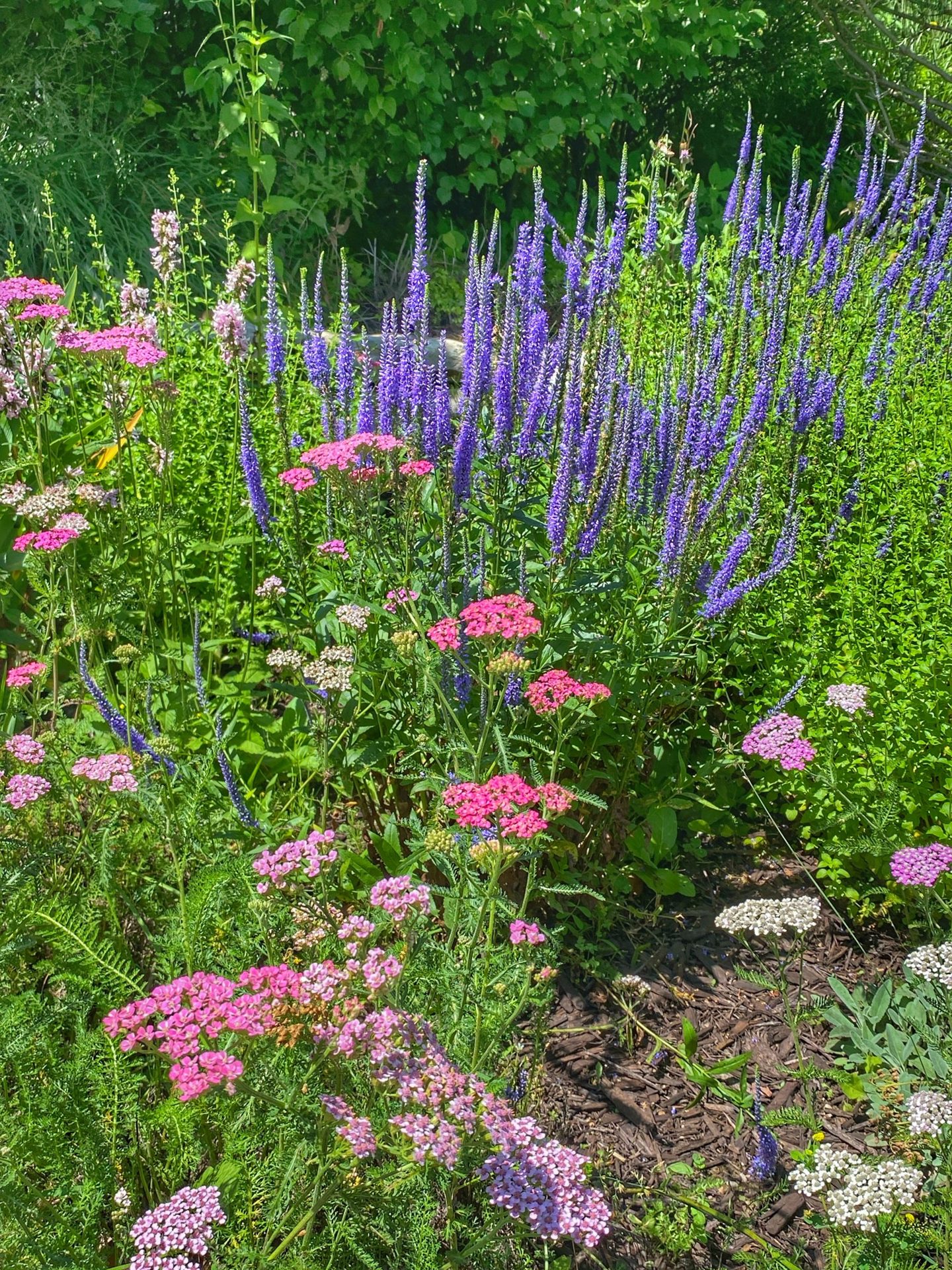 The Secret Garden of Door County (2 of 6)