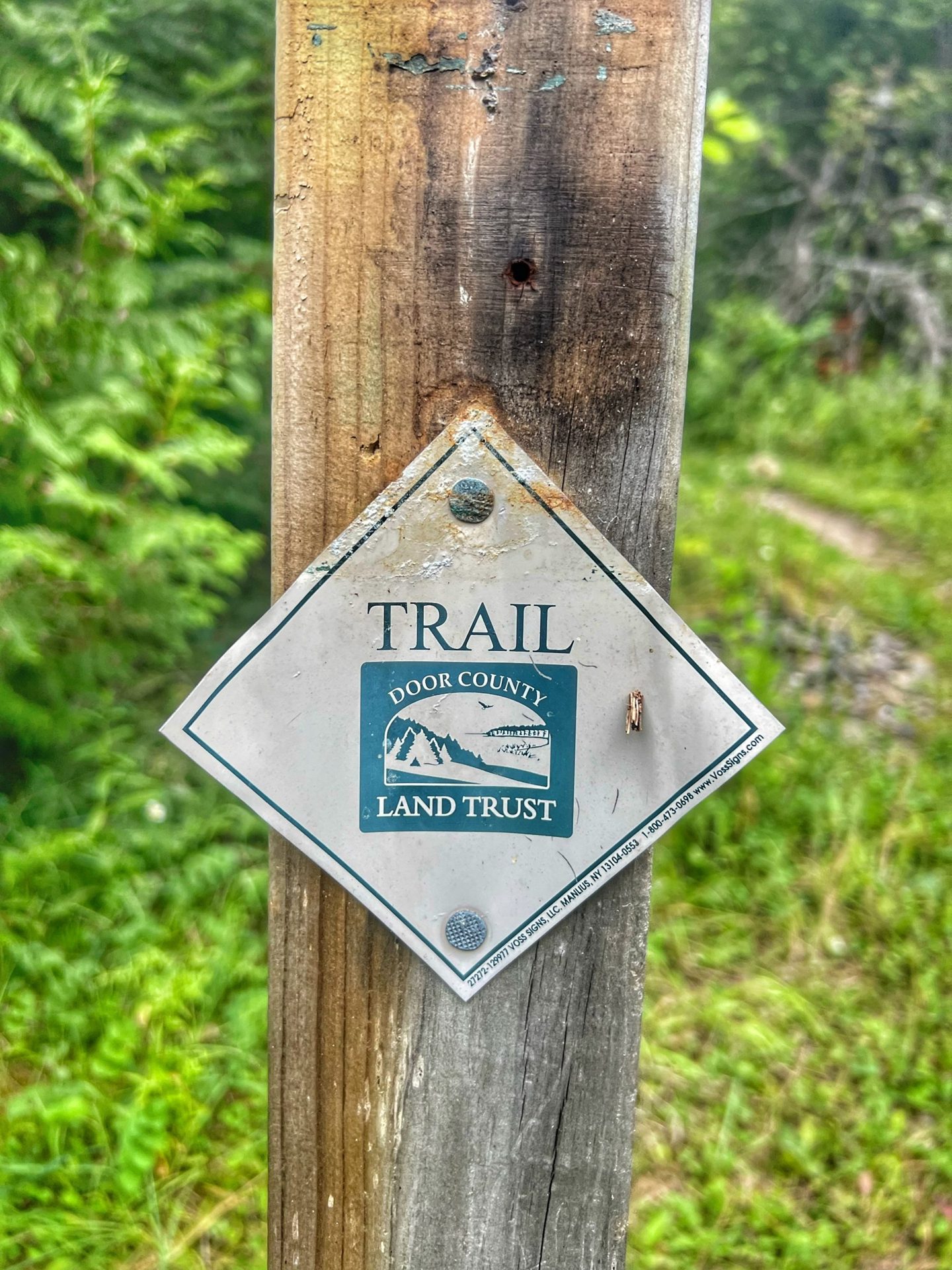 Three Springs Nature Preserve (1 of 6)