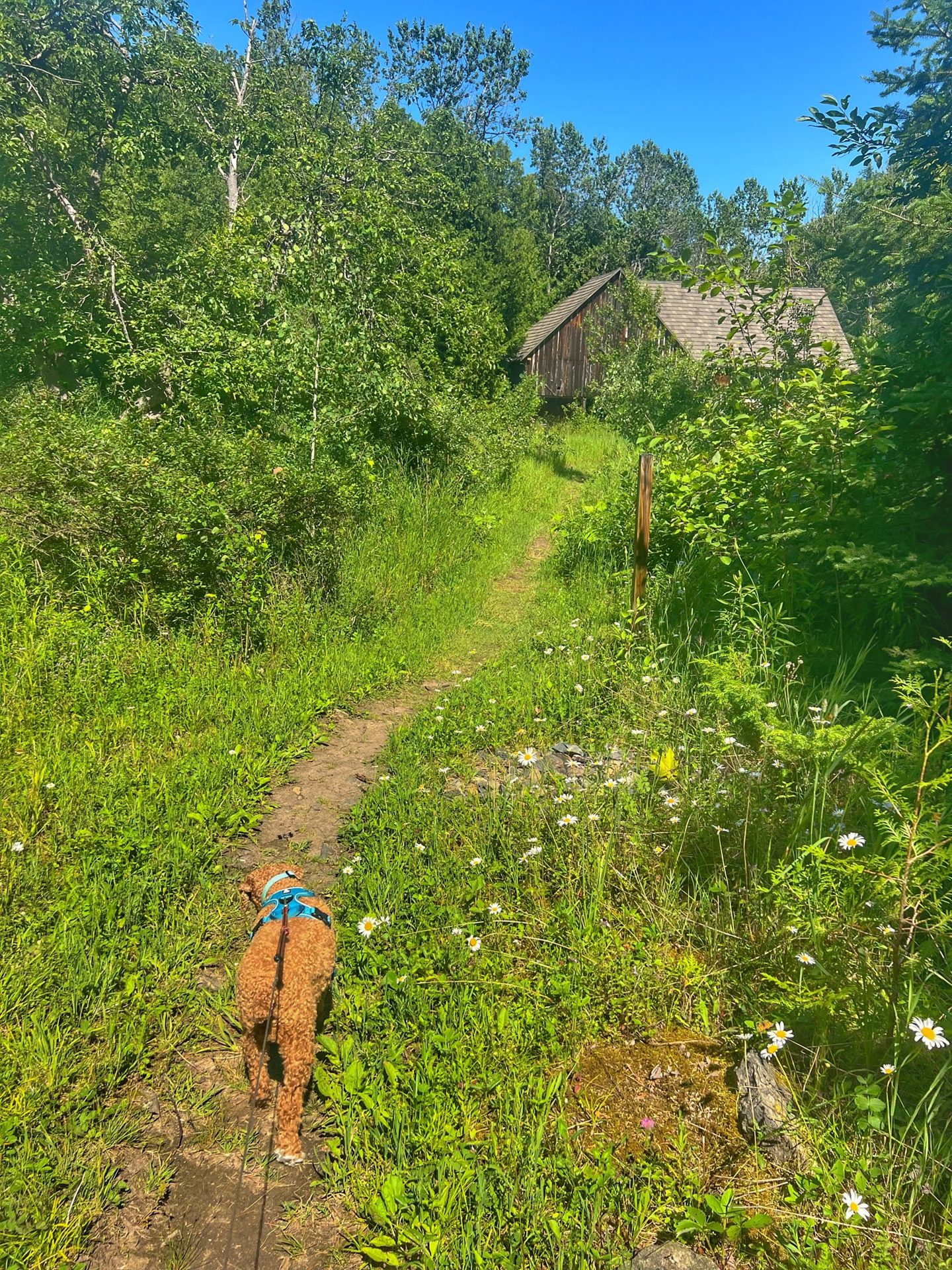 Three Springs Nature Preserve (5 of 6)